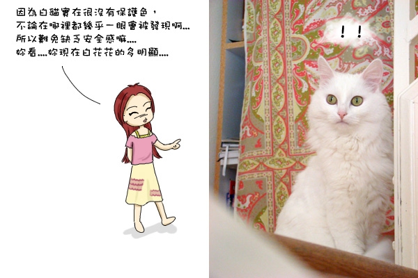 保護色