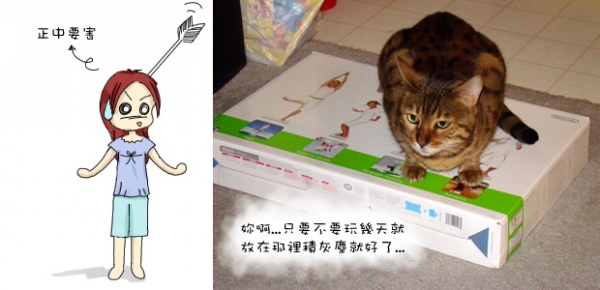 生日禮物