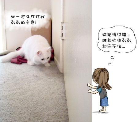 貓仔隊 現場直擊 搶先看