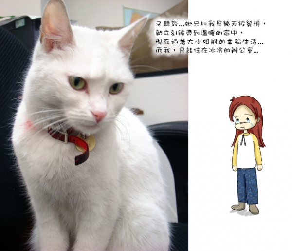 苦情妹妹