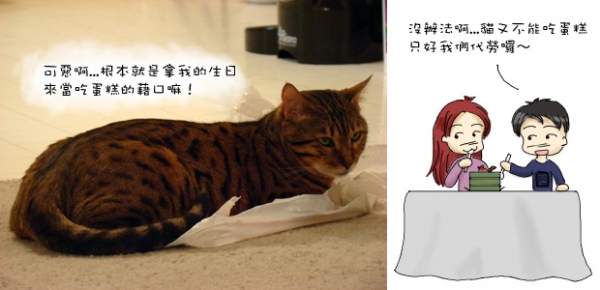 五毛三歲了!