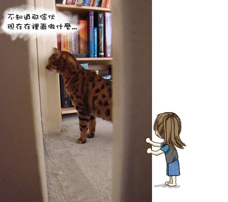 貓仔隊 現場直擊 搶先看