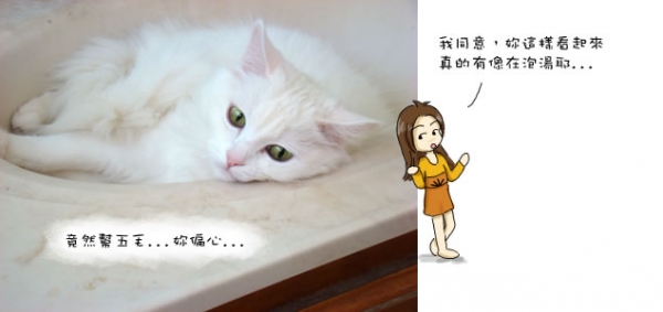 落難公主