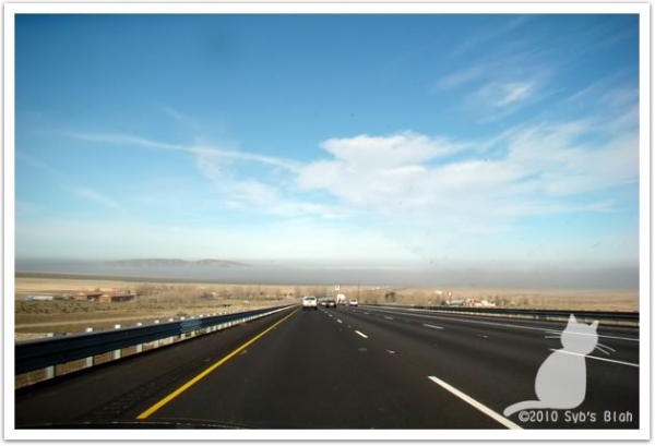 北加Yosemite & Monterey Bay