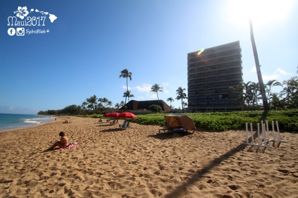 夏威夷茂宜島五天四夜自駕遊 Royal Lahaina Resort住宿分享 + 怎麼訂房最省 *文末贈美金