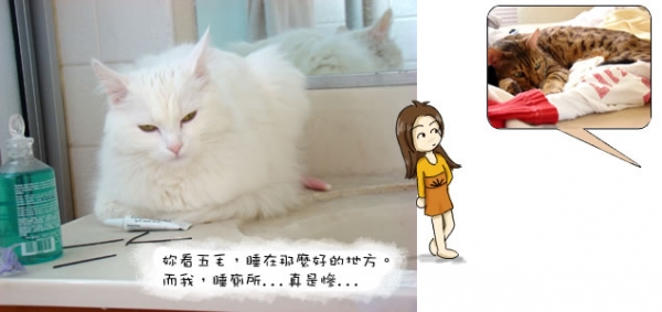 落難公主