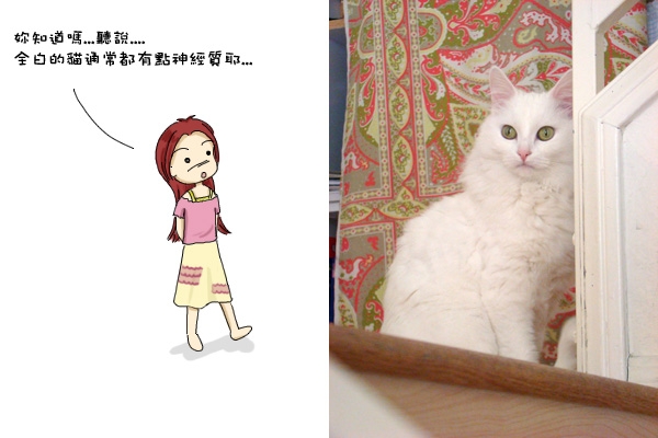 保護色