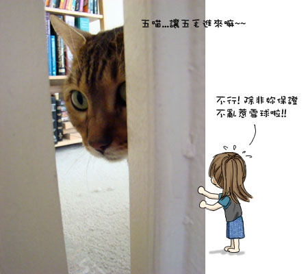 貓仔隊 現場直擊 搶先看