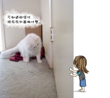 貓仔隊 現場直擊 搶先看