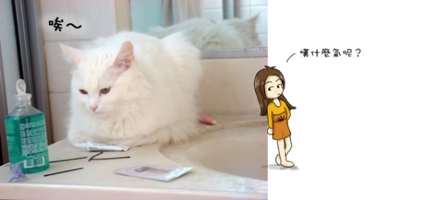 落難公主