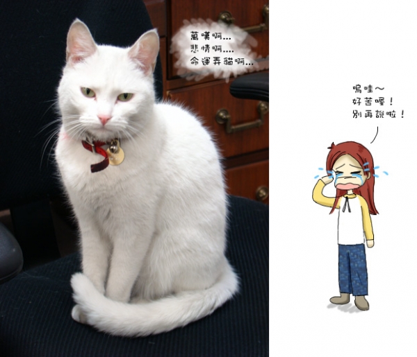 苦情妹妹