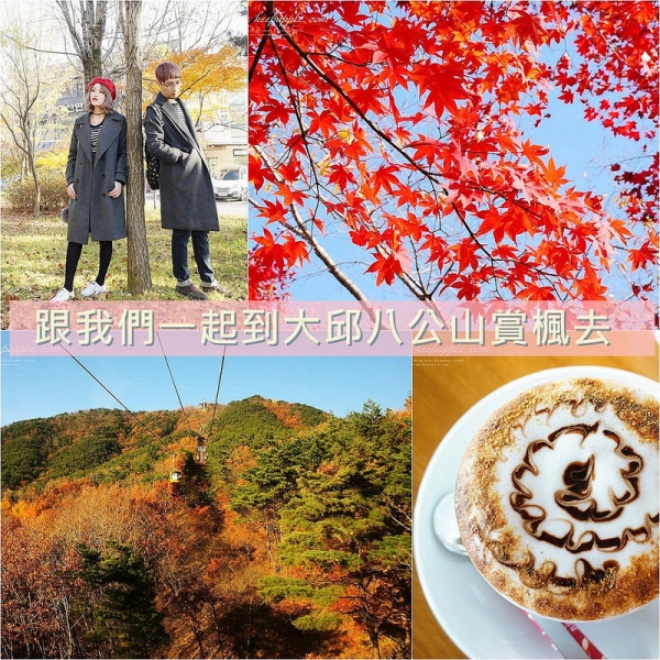 【逼先生專欄】《大邱自由行全攻略》八公山賞楓紅、交通資訊詳解,火辣辣河豚燒肉~