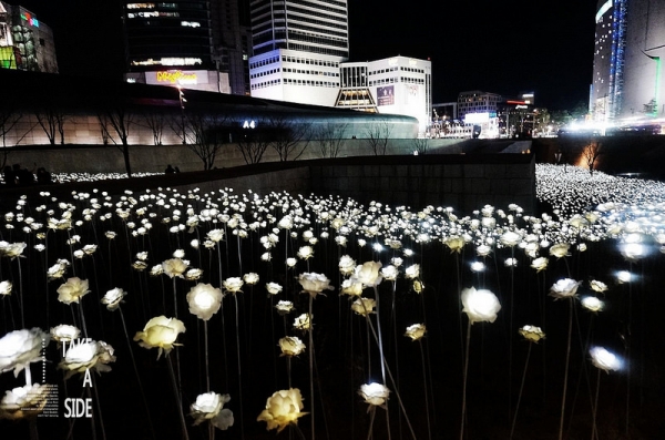【逼先生專欄】《2016首爾自由行》廣藏市場朴家綠豆煎餅、東大門設計廣場LED花海
