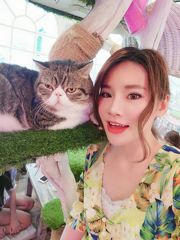 【逼先生專欄】《2017曼谷小資自由行》:曼谷「Caturday Cat Cafe」貓咪咖啡廳,可愛到捨不得走啦!!!