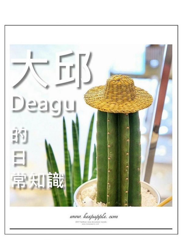 【逼先生專欄】《大邱的10個日常知識》飛去大邱自由行前必讀!?