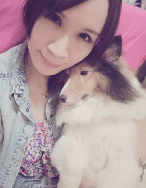 【寵物】Shock成長紀錄:4歲3個月,夏天剪毛囉♥
