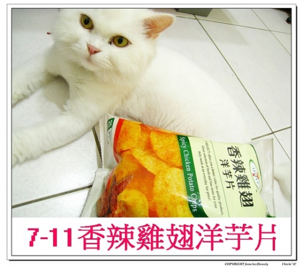 (7-11系列) 香辣雞翅洋芋片 - 長大了還是很有赤子之心