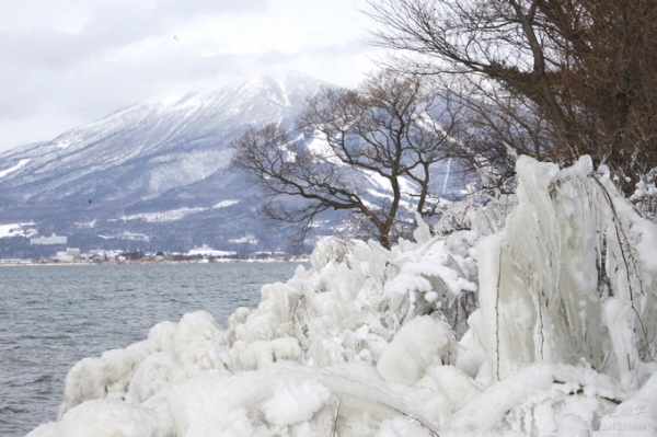 豬苗代湖.福島縣景點~湖畔罕見樹冰奇景しぶき氷+天鵝雁鴨避寒過冬夢幻雪景超療癒