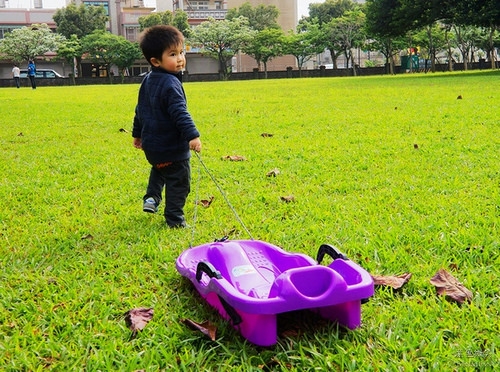 ▋桃園旅遊▋大溪埔頂公園~充滿歡樂的親子樂園