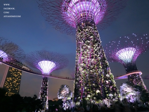 新加坡自由行大推一定要去超美超級樹【濱海灣花園Gardens by the Bay】