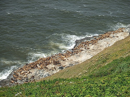 20080713 Newport Crabbing