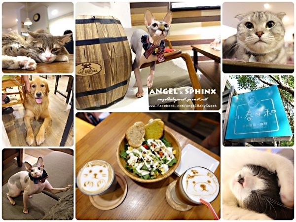 「貓店長」台北市寵物友善餐廳 小春日和動物雜貨.珈琲