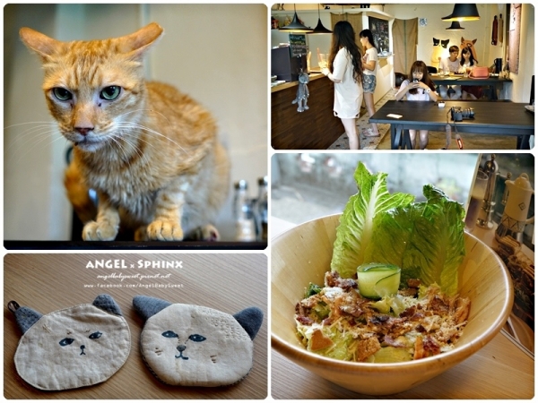 「新北」貓咪王國 猴硐貓村 Walk and Taste 漫嚐‧咖啡
