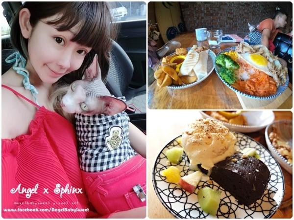 「墾丁恆春」寵物友善親切溫馨店狗迎賓 轟稻機 hometown(恆春早午餐)