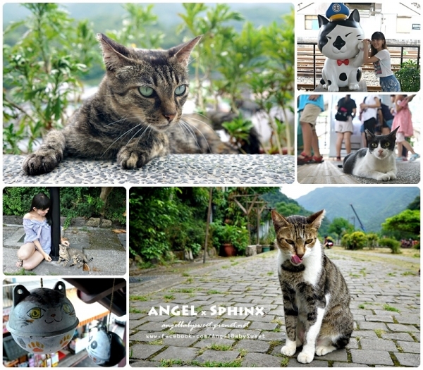 「新北」貓奴你能夠沒來過這裡嘛?! 貓咪王國 猴硐貓村