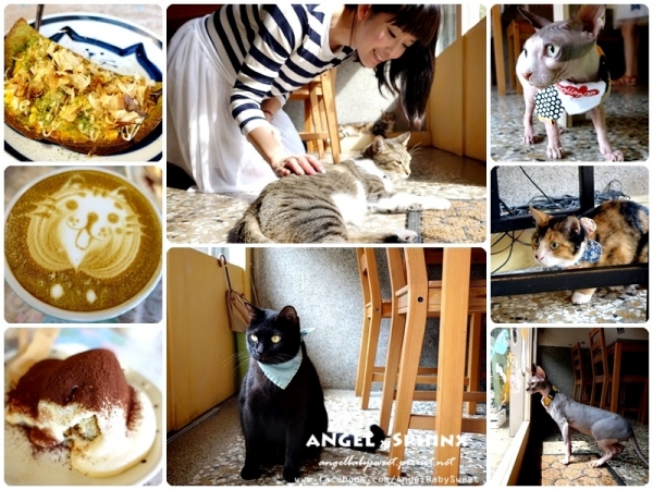 「貓店長」台南市 療癒&美味程度雙爆錶 貓門 Cafe' Moment