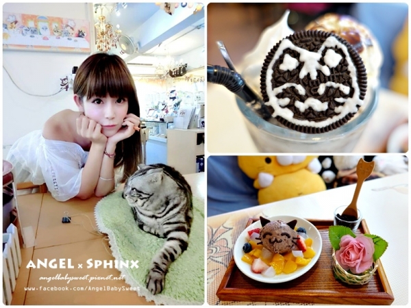 「香港貓餐廳」萌貓萌餐點少女心大噴發 阿貓地攤cat store