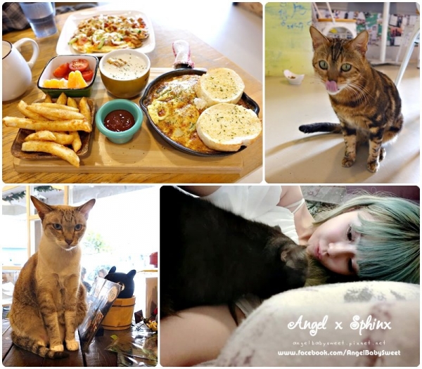 「台中貓店長」 手做薄餅披薩太美味 貓爪子咖啡 Cat's Claw Brunch & Cafe'