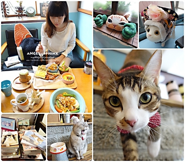 「貓店長」萌死人不償命 MinouMinou 喵喵屋 ฅωฅ (台北公館)
