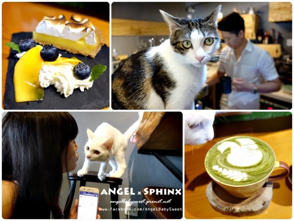 「花蓮市」喵喵手做甜點咖啡屋 Ngchus 晤子café cake
