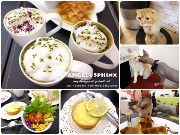 「貓店長」台中市西區 超萌貓貓拉花 咕嚕貓Cafe 科博旗艦店