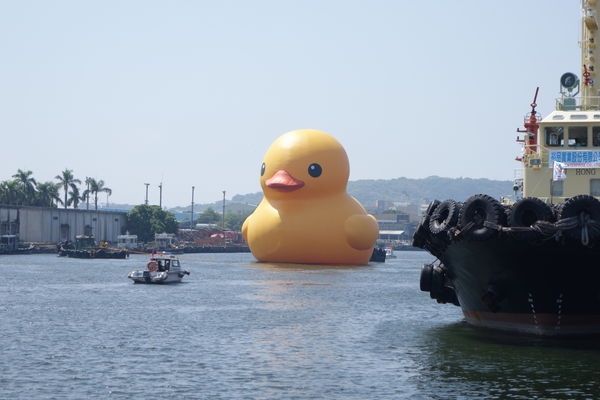 黃色小鴨 登台首站 高雄光榮碼頭