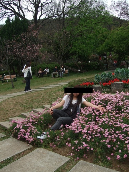 台灣人的賞花公德心?