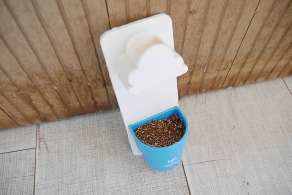 小小原生種籽所蘊藏的強大精華能量 – THE FACE SHOP菲詩小舖