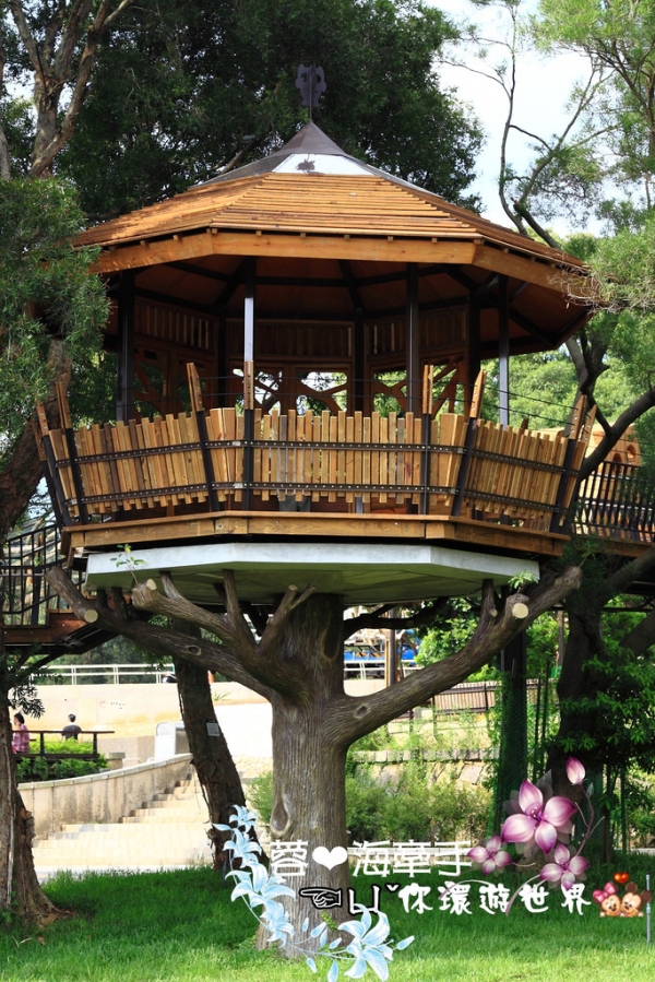 【桃園】虎頭山森林公園(奧爾森林學堂)ღ卡通裡面才會出現的樹屋,怎麼出現在現實中