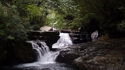 满月圆森林游乐区内有蚋仔溪流贯其中,因属幼年期的溪流,河谷坡度陡峭