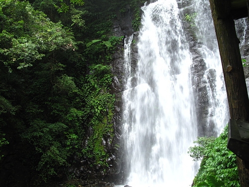 满月圆国家森林游乐区属於亚热带雨林溪谷型森林,环境潮湿,多溪流