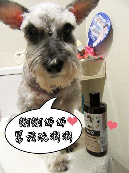 IMG_0464 IMG_0464