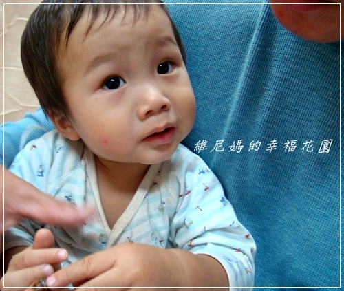 酸辣丹指頭復原記錄二+遲來的日本腦炎第一劑