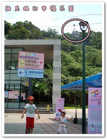 免費又花費的貓纜之旅