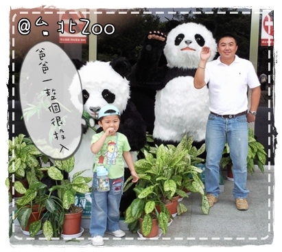 【公益】一起加入2012年panda-quest成都熊貓守護使!
