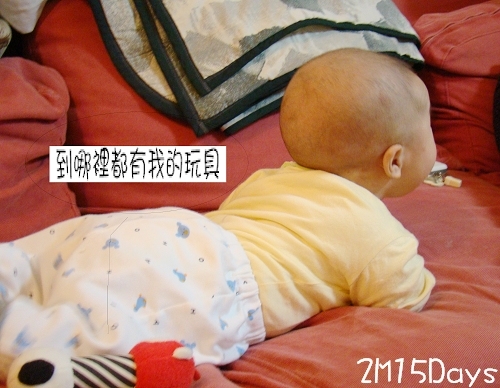 【2M15Days】頭抬高高