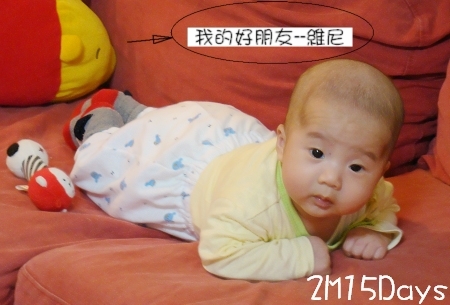 【2M15Days】頭抬高高