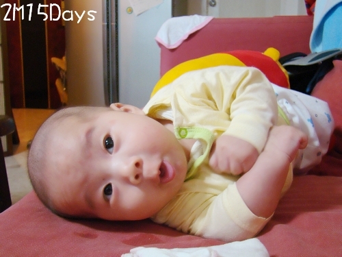 【2M15Days】頭抬高高