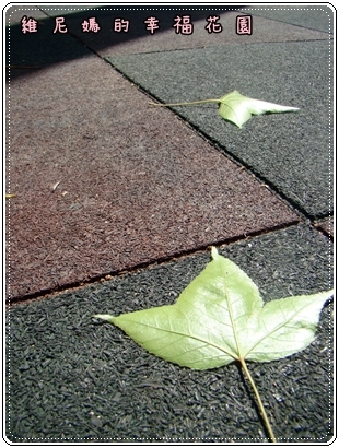 【美容保養】夏日肌膚失去油水平衡?MIROS精華液了解我們的需要!