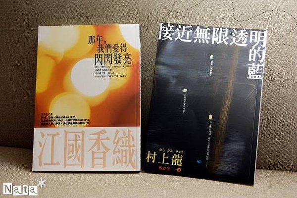 《那年,我們愛得閃閃發亮》、《接近無限透明的藍》後感